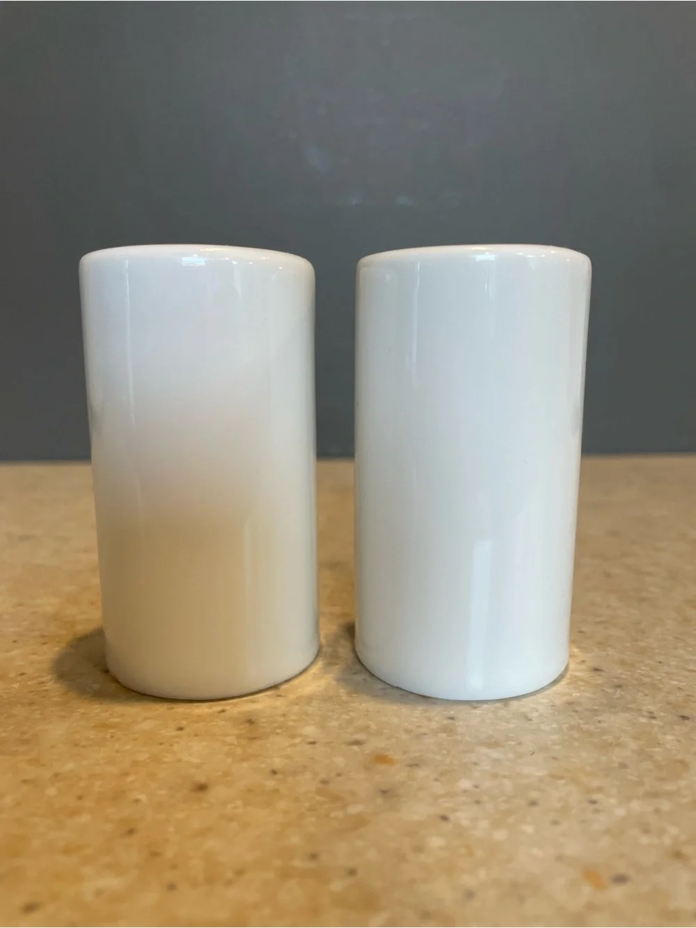 THE CERAMIC SHOP Vintage Souvenir South Dakota Buffalo Salt & Pepper Shakers